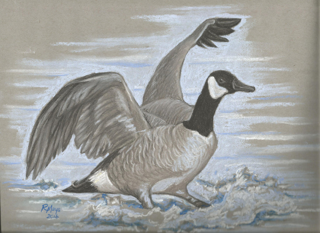 "Canada Goose" Art Print