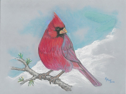 "Cardinal on Larch" Art Pring