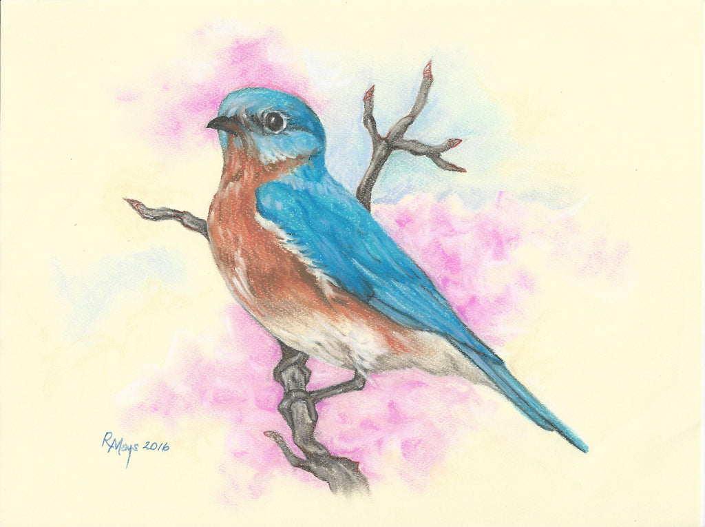 "Eastern Bluebird" Art Print