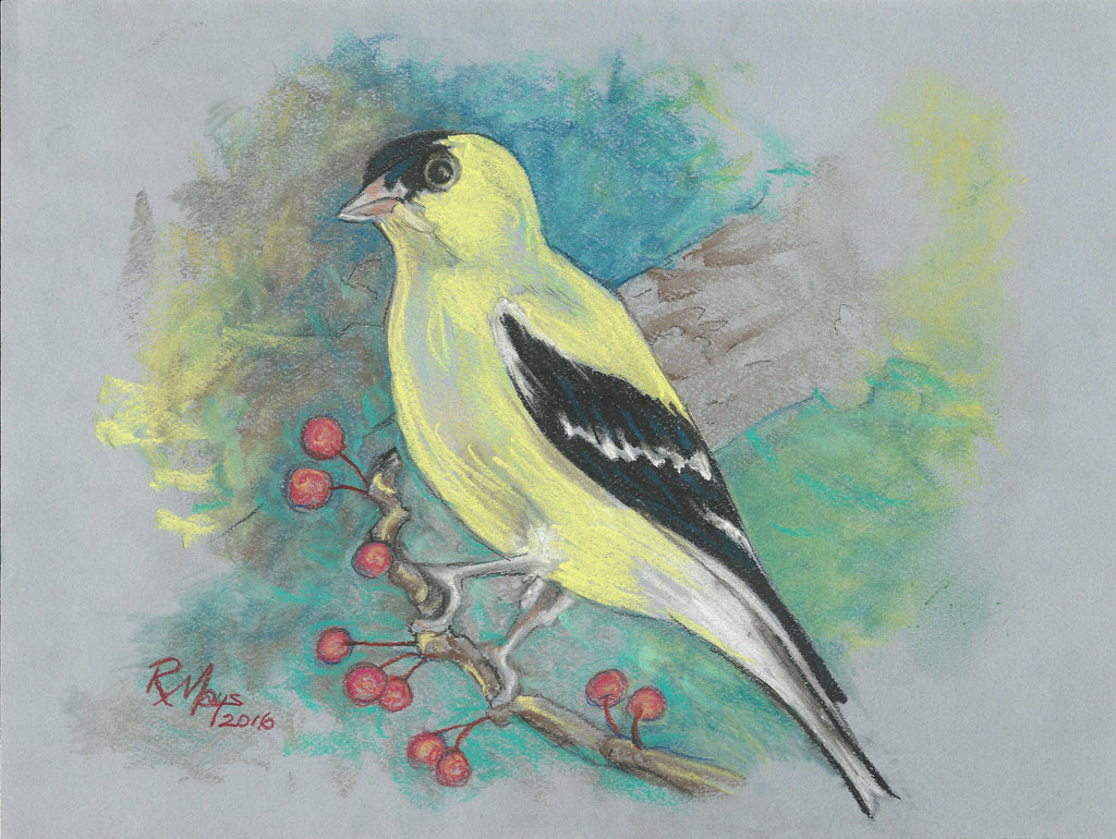 "Goldfinch on Cherry" Art Print