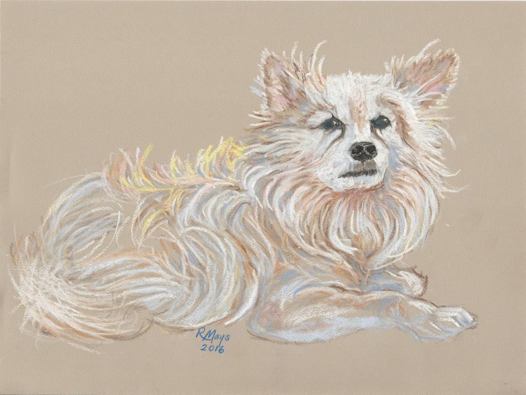 "Max" Pomeranian Art Print