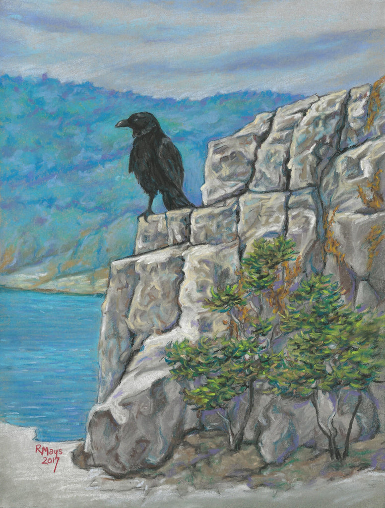 "Raven at Schoodic Point" Art Print