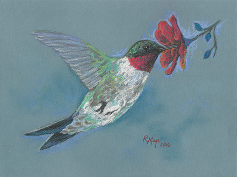 "Ruby-throated Hummingbird" Art Print