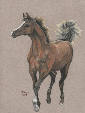 "Destined for Roses" Horse Art Print