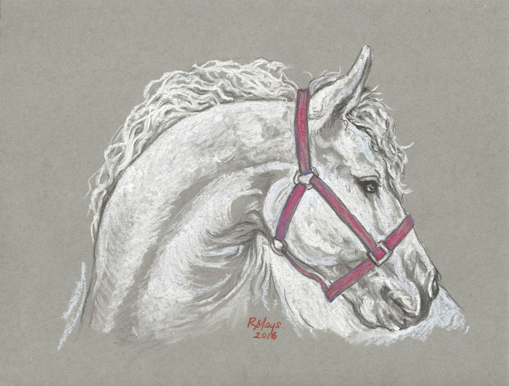 "White Horse with Red Bridle" Art Print