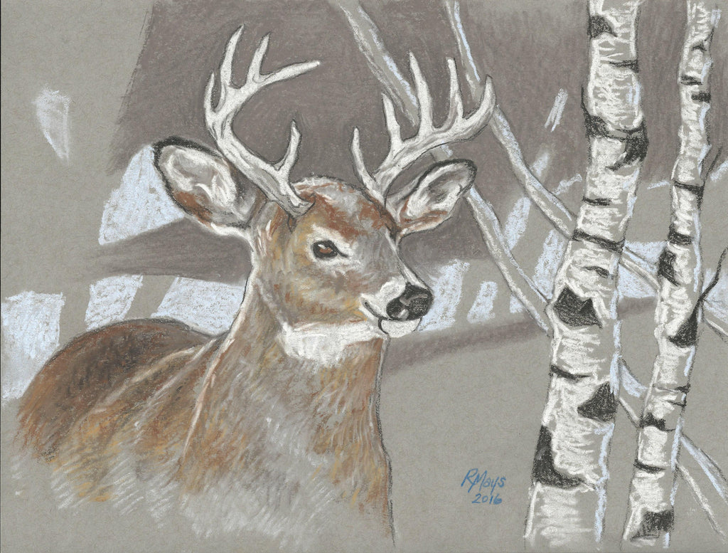 "Winter Buck" Art Print