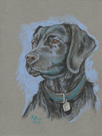 "Black Labrador Retriever" Art Print