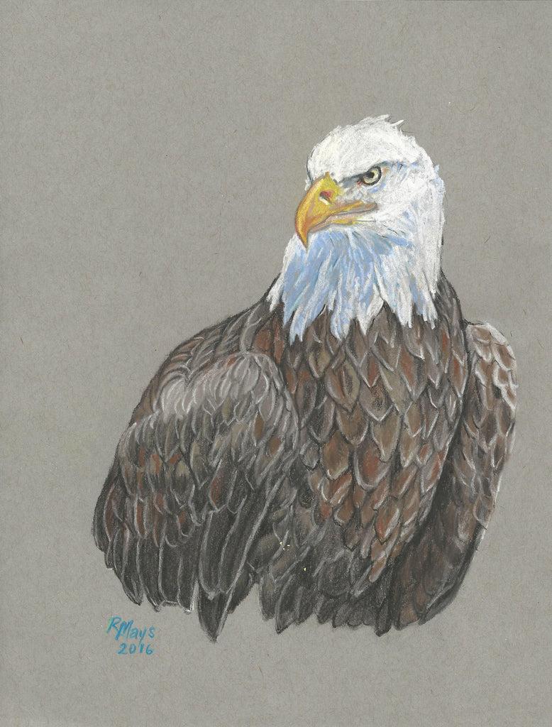 "Reelfoot Bald Eagle" Art Print