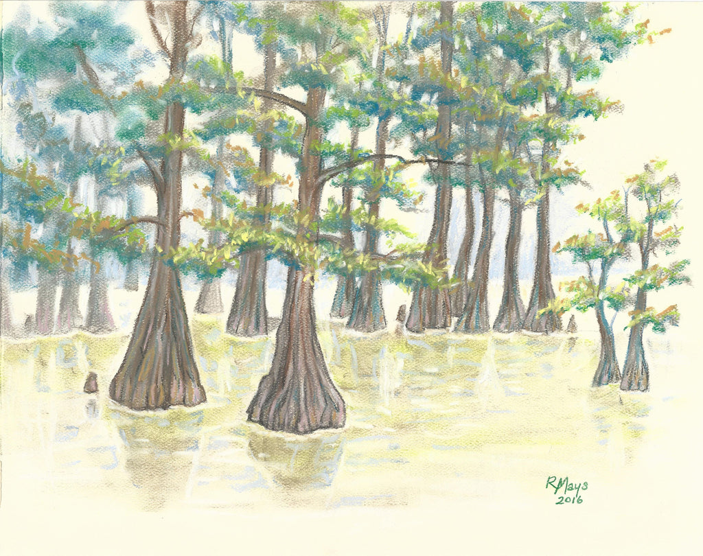 "Reelfoot Lake" Art Print