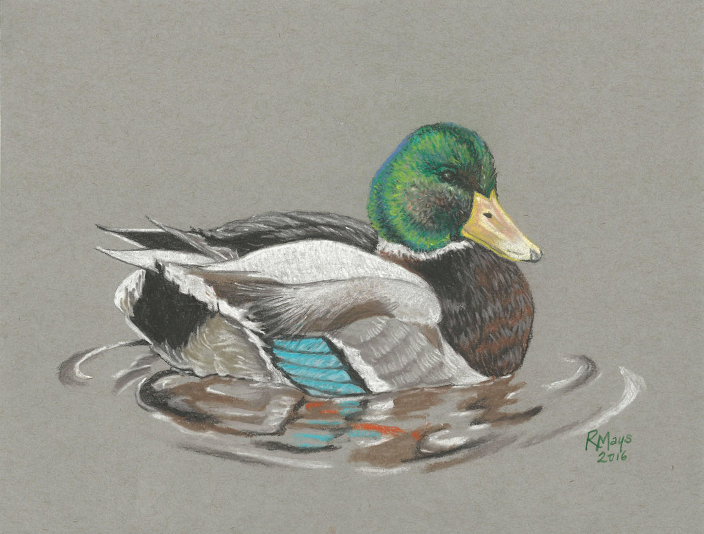 "Reelfoot Mallard" Duck Art Print
