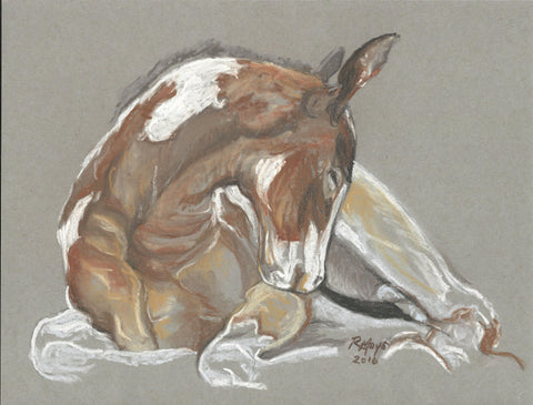 "Sleeping Colt" Art Print