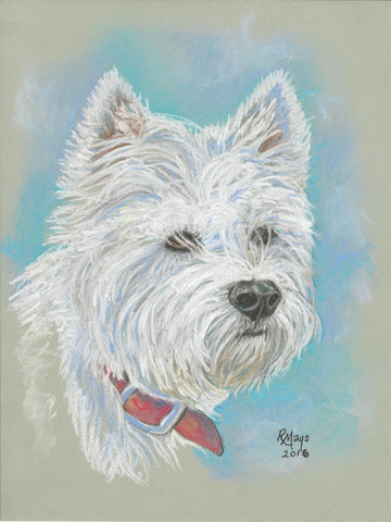 "White Dog"  Westie Art Print