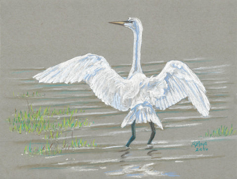 "White Heron in Hickman" Art Print