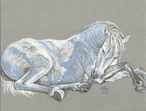 "White Stallion" Art Print